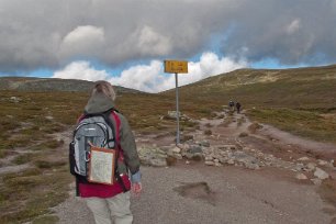Gränsen mot Norge på Linnéleden