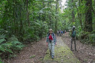 I regnskogen Skådningspromenad i regnskogen vid La Selva. Teet filmar och Kristina promenerar mot nya mål.