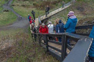Nationalparken Thingvellir Trappa ned till kontinetalsockelsprickan i Thingvellir nationalpark.
