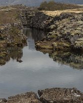 Nationalparken Thingvellir Sprickälv i nationalparken Thingvellir, Island.