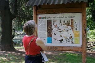 Fågelkarta i parken
