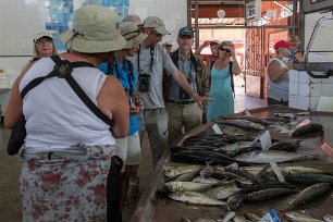 Fiskmarknad Fiskmarknadenp i Olhao