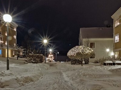 Snölyktor  "Snölyktor" på gården på juldagen.