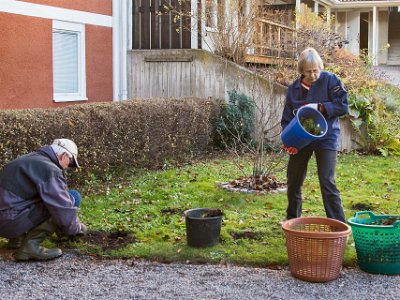 131113–142339  Trädgårdsarbetande Arne Isvén och Kristina Hennix 13 november.