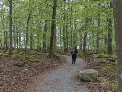 Åsnens nationalpark Mot (blåsig) rastplats vid sjön Åsnen.