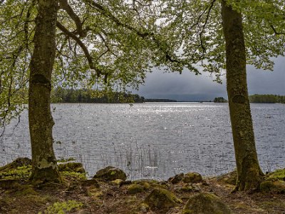 Åsnens nationalpark Kyliga vindbyar drar in på rastplatsen vid sjön Åsnen.