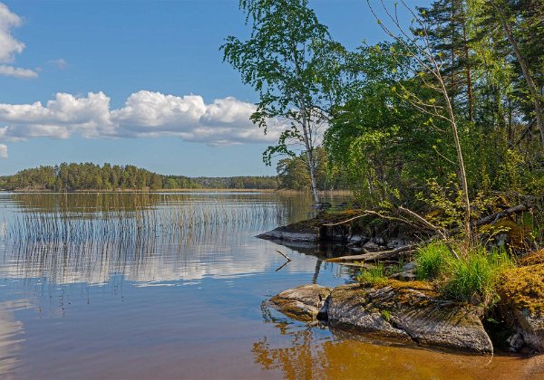 Bålbergsuddens naturreservat 26 maj 2020