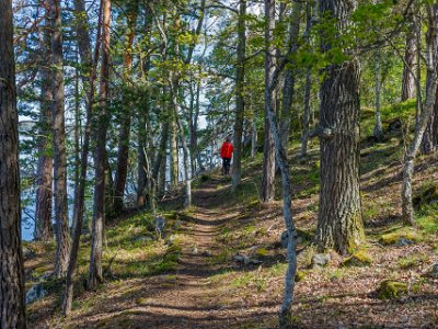 Bålbergsudden Längs Bålbergsuddens stig vid Rockelstaviken i Båven.