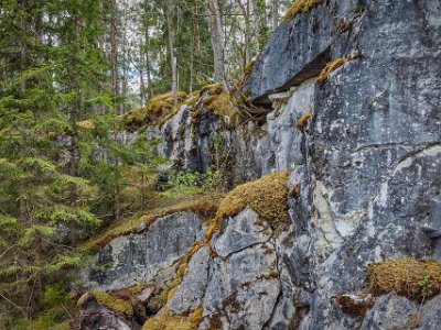 Kalkrikt berg Naturreservatet ligger på ett litet berg med kalksten i bakgrunden. Skyddat fr o m 2016. På grund av den kalkrika marken mycket artrikt; 20 hotade arter och...