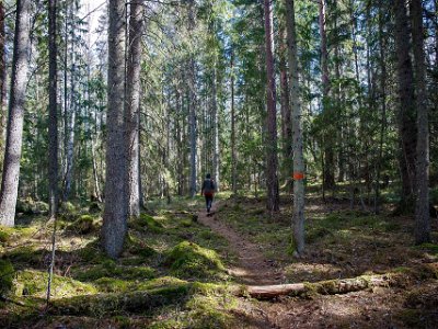 Ekeby naturreservat