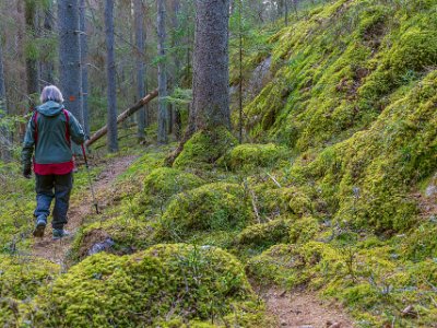 Ekeby naturreservat