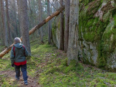 Ekeby naturreservat Genom en 