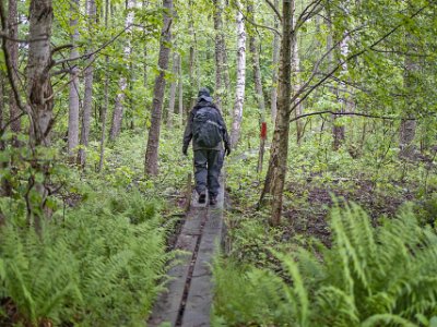 Sörfjärdens naturreservat Lång spånggång