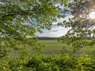 Lötfälten Vy från åsen i Gorsingeholm mot Lötfälten.