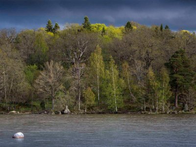 Gorsingeholm Kvällssol vid Gorsingeholmsstranden