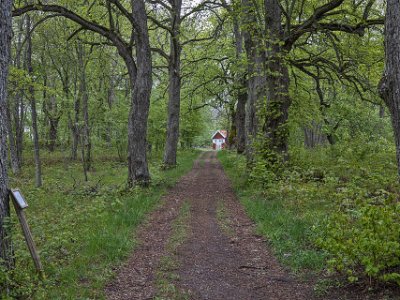 Gorsingelund I området finns tydliga spår av hur människor levt och nyttjat området i form av husgrunder, fruktträdgård m.m.