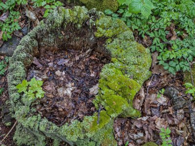 Gorsingelund Stubbe i Gorsingelund