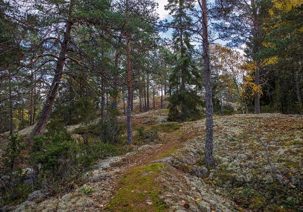 Vandring i Hedlandets naturreservat oktober 2020