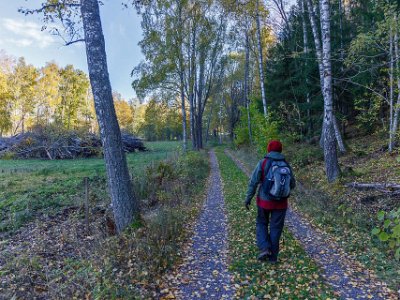 Gammal körvä'g Leden utgörs i början av en gammal körväg