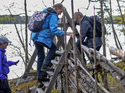 Järgarskogens naturrreservat Rask klättring på stätta över gärdsgård.