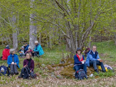 Järgarskogens naturrreservat Fika i eklund vid Yngern.