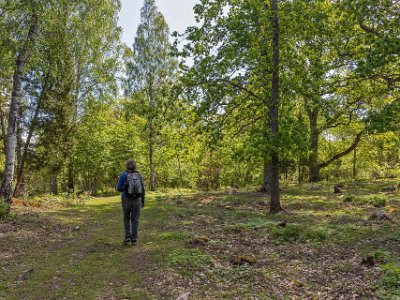 In i reservatet På väg in bland ädellövträden i Norrby kyrkskog. Området är naturskyddat sedan 2003 och är 41 hektar stort. Reservatet ligger vid Mälaren på sydöstra sidan av...