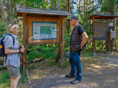 Möte i reservatet Möter vid starten i natureservatet en trevlig och skogskunnig man.