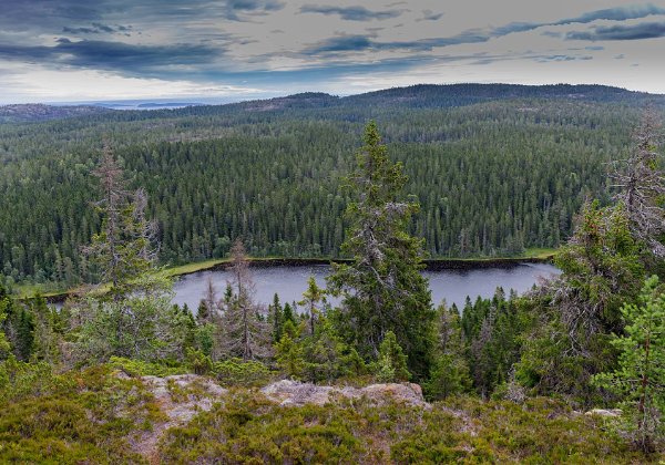 Skuleskogens nationalpark 23 juli 2020