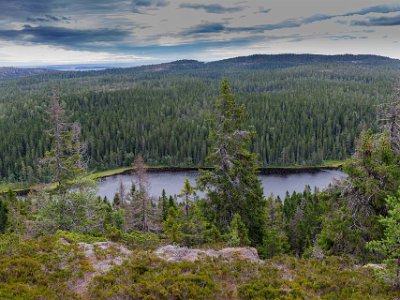 Skuleskogens nationalpark Utsiktsplatsen på Nylandsrutens sydöstra brant är lättillgänglig och bjuder på milsvid utsikt i klart väder. Nedanför branten blänker Svarttjärns mörka...