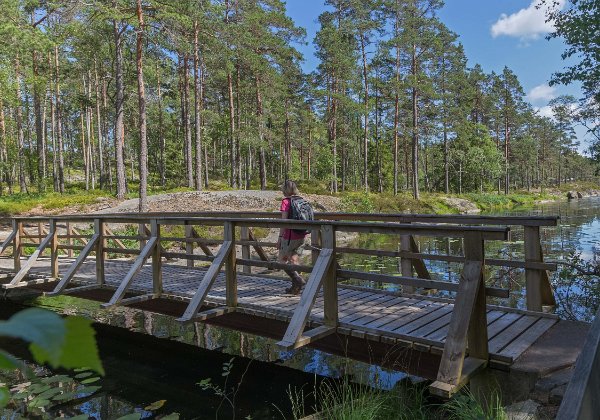 Tresticklans nationalpark juli 2016