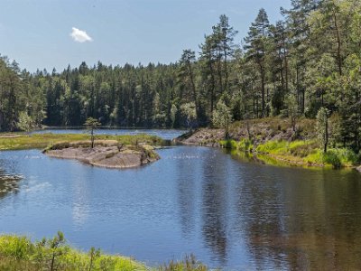 Tresticklans nationalpark Stranden vid sjön Fiskelös.