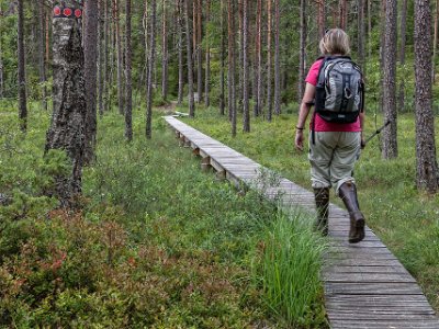 Tresticklans nationalpark Första del av stigen in i nationalåarken. Vår vandring från Råbocken runt Tresticklaleden och tillbaka mäter drygt 8 kilometer.