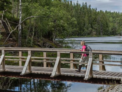 Tresticklans nationalpark Över det smala Tresticklasundet mellan Lilla och Stora Tresticklan.