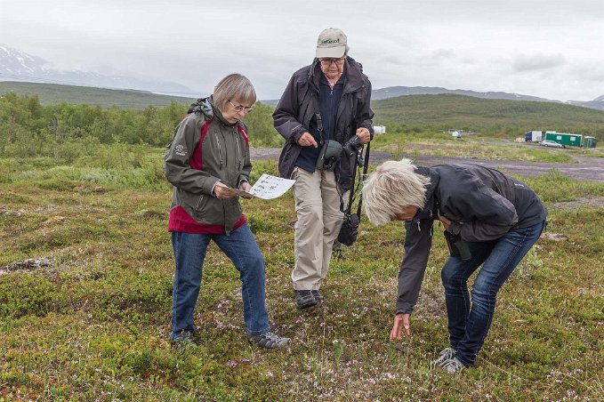 Växtbestämning Spontan växtexkursion strax efter ankomsten till lodgen.