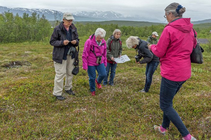 Växtbestämning Spontan växtexkursion strax efter ankomsten till lodgen.