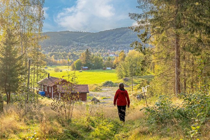 Kvällspromenad vid Hälsingegården