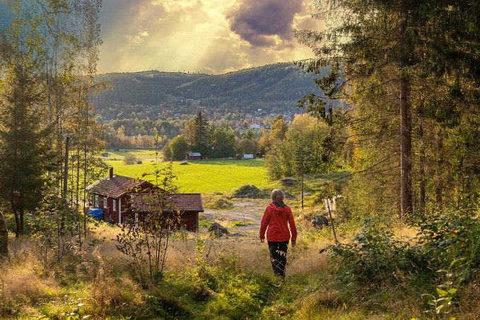Ut ur skogen Ut ur skogen bakom Härjedalsgården.