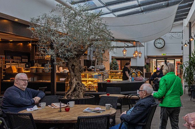 Fika i Sala Det originella konditoriet vid Rådmansgatan i Sala har en innegård med olivträd.