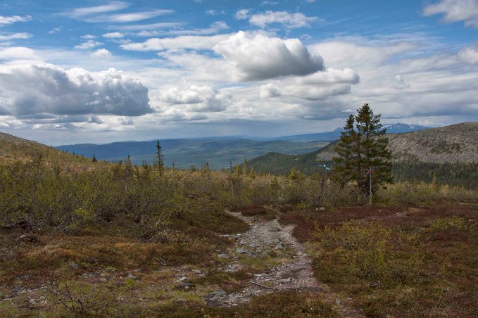 Vy från Björnrikestugan
