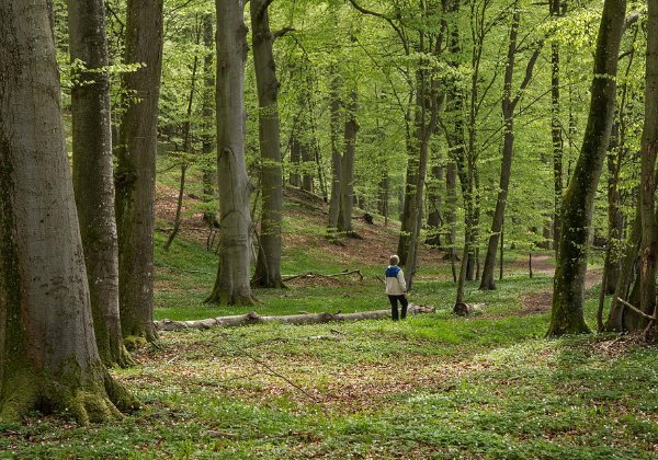 Österlen maj 2013