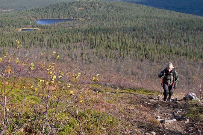 50-talet meter från LIllfjällstoppena