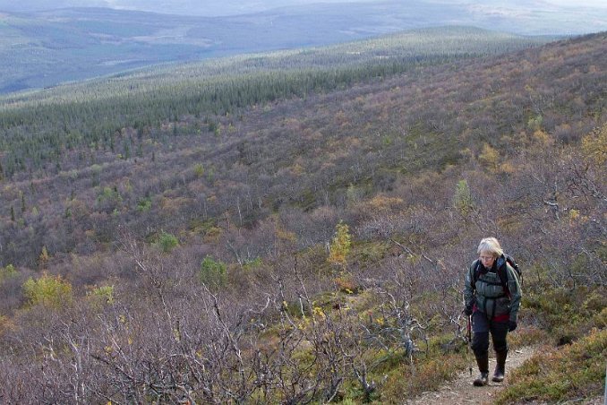Drygt 100 meter från Lillfjälltoppen