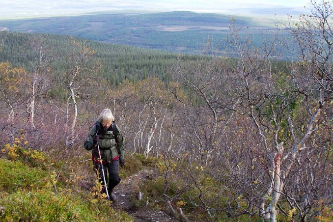 Halvvägs upp mot Lillfjället