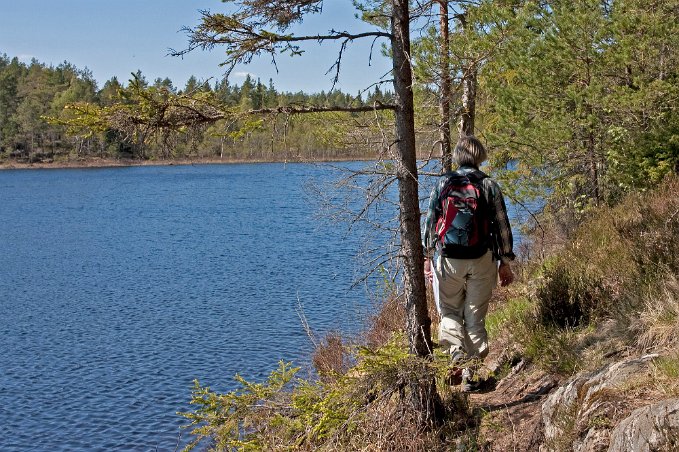 Längs Trehörnesjön