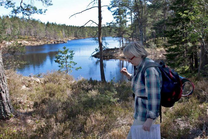 Vid Kvarnesjön