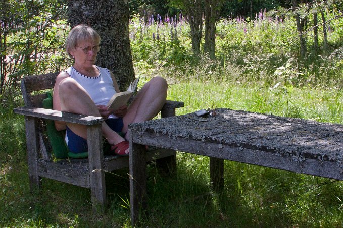 Bokläsning i mossig stol
