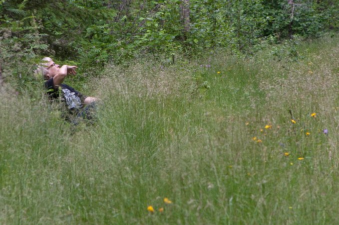 Kristina fågelskådar i gräset