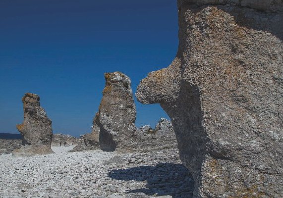 Fårö 2014