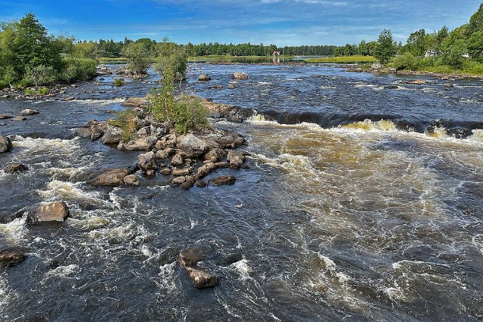 Grysingeforsarna Grysingeforsarna i Dalälven före Granöbron i Gysinge.