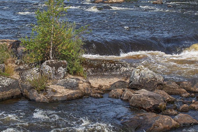 Gysingeforsarna Gysingeforsarna i Dalälven före Granöbron i Gysinge.